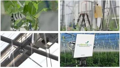 人工智能農業 互聯網巨頭種黃瓜獲獎背后的技術革命